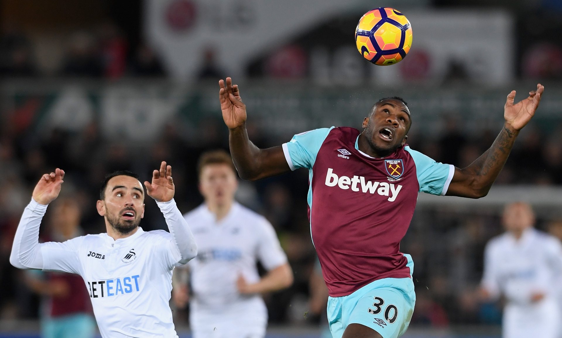 目前摆在海 目前摆在海